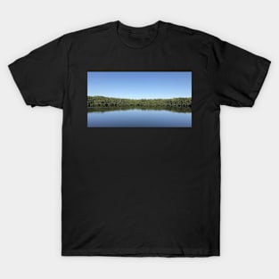 Weedon Island Preserve Mangroves T-Shirt